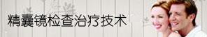 精囊镜检查治疗术技