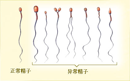 jytl_061146.jpg