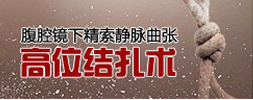 腹腔镜下精索静脉曲张高位结扎术